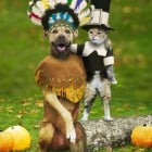Happy Thanksgiving and A Little Giveaway!