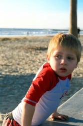 IMG_4537