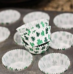 IMG_1207a