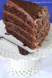 IMG_1959p