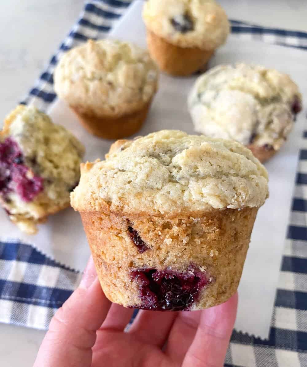 A Hand Holding a Bakery-Style Blackberry Muffin with More Muffins in the Background