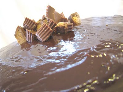 The top of the Reese's Layered Peanut Butter Cake: the image shows smooth chocolate ganache topped with chunks of Reese's Peanut Butter Cups.