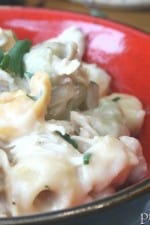 A bowl of Creamy Chipotle Chicken Tortellini with White Beans and Cilantro.