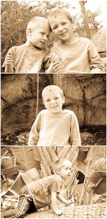 A Collage of Sepia Photos of my Sons