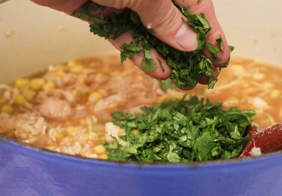 Cilantro Being Added to the Pot of Chicken Soup