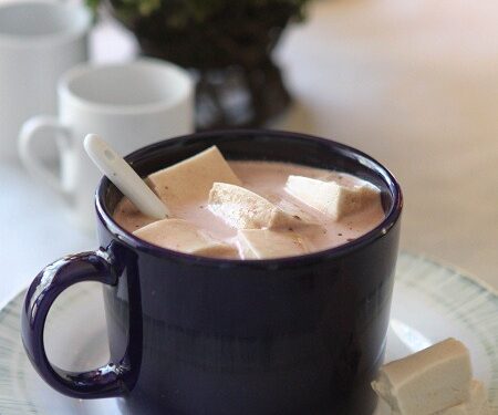 Homemade Hot Chocolate & Maple Marshmallows | Picky Palate