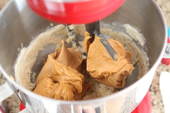 Peanut butter and melted butterscotch chips are added into the stand mixer with butter and sugar.