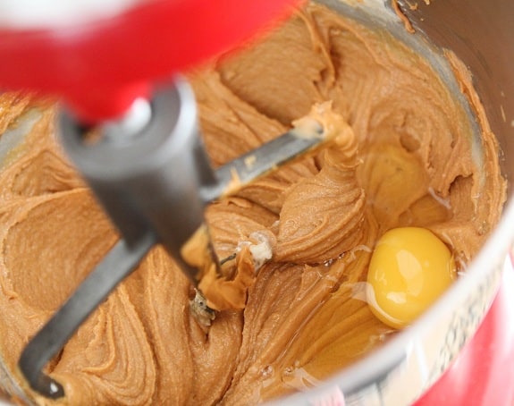 An egg is added into the stand mixer with the peanut butter cookie ingredients.