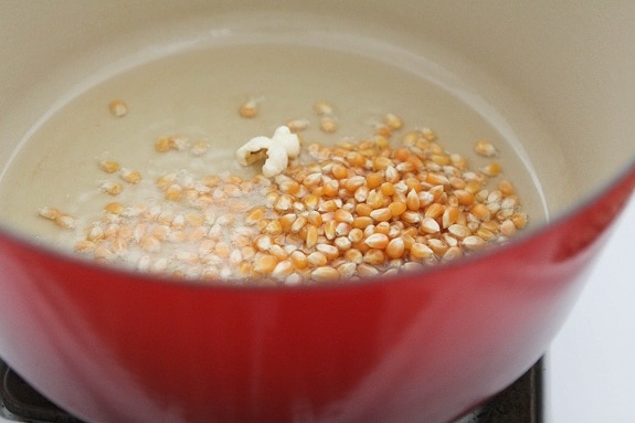 Popcorn Kernels in a Dutch Oven on the Stove