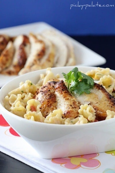 A Serving of Mexi-Chicken Campanelle