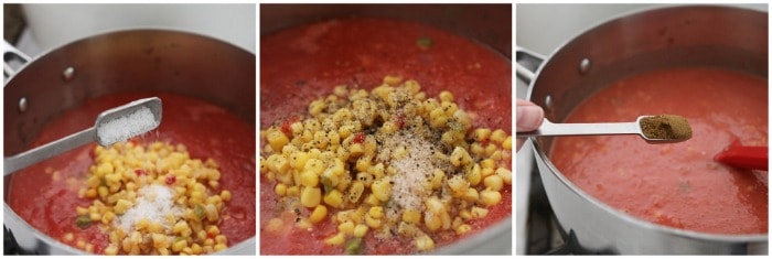Adding Seasoning to Tomato Soup