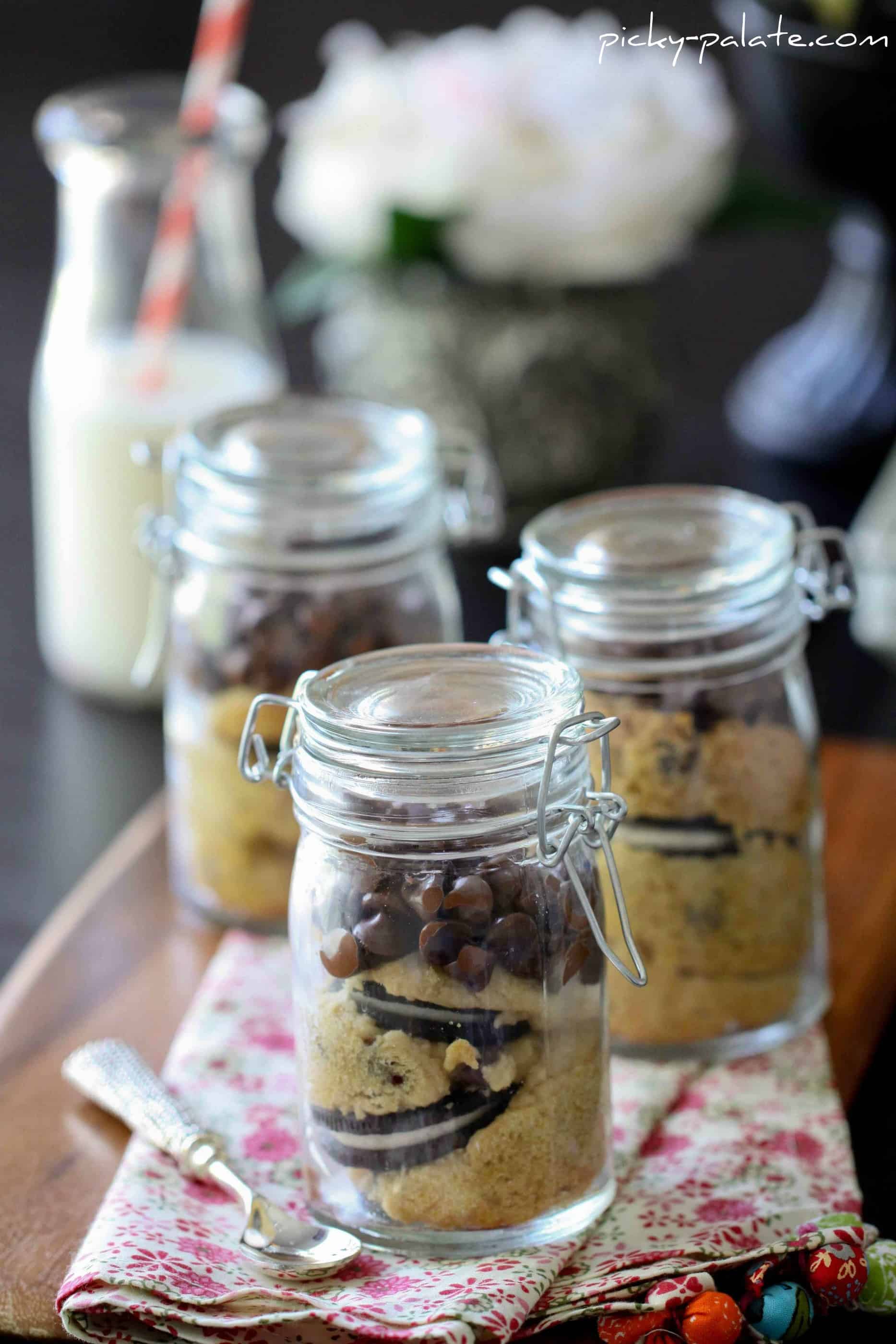 DIY Christmas Cookie Mix in a Jar - Jenny Cookies