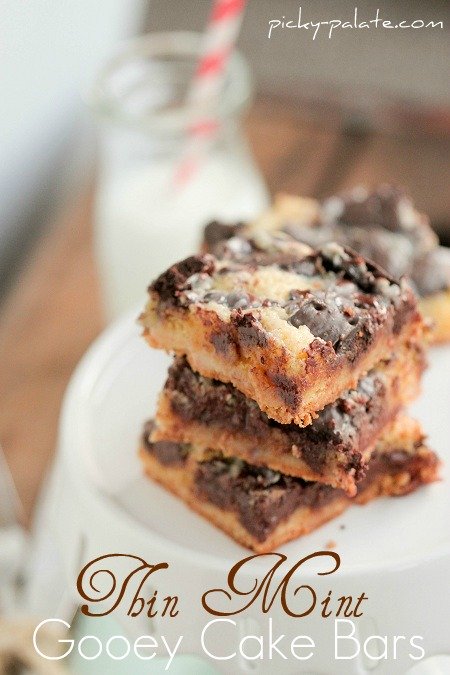 Mint Chocolate Squares - Recipe Girl