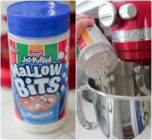 Jet puffed marshmallow bits coupon