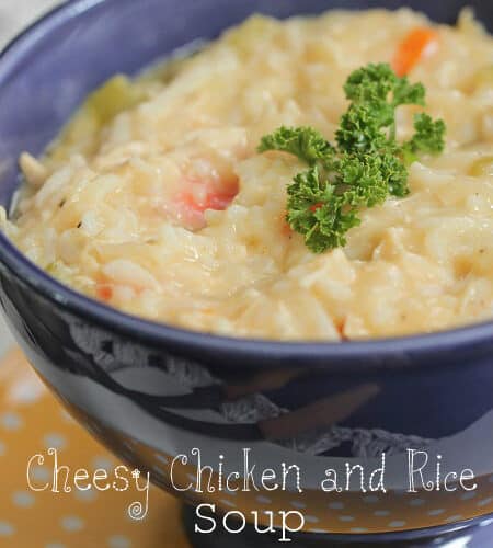https://picky-palate.com/wp-content/uploads/2012/04/Cheesy-Chicken-and-Rice-Soup-1-text1-450x500.jpg