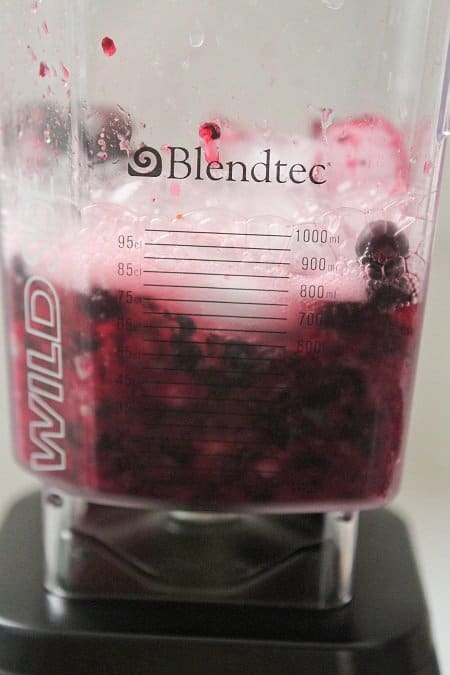 Blueberry Lime-Aid Slushie Recipe - Picky Palate