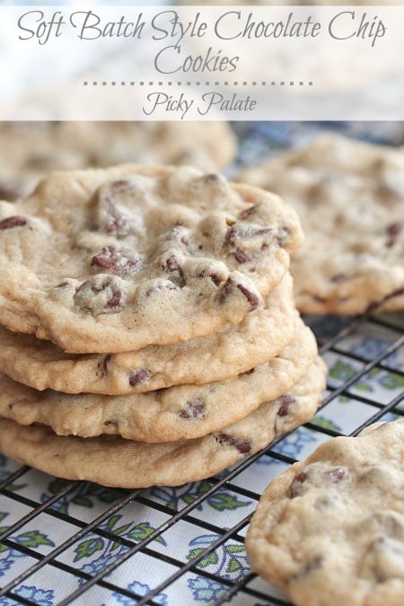 Soft and Chewy Chocolate Chip Cookie Recipe