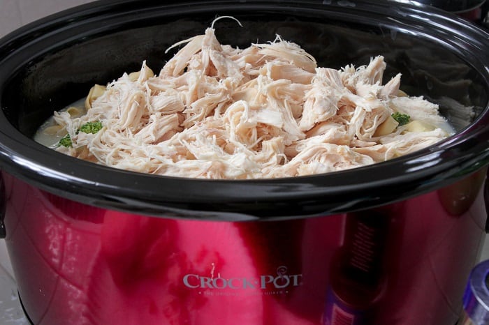 shredded cooked chicken in crock pot