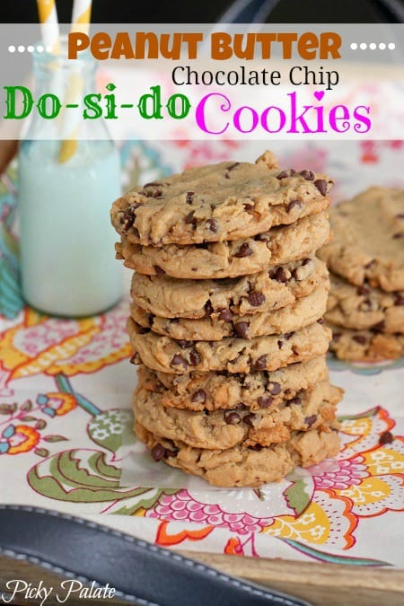 Peanut Butter Chocolate Chip Cookies