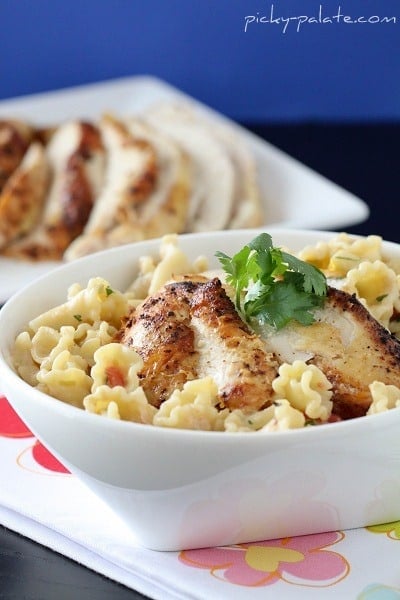 Mexi-Chicken-Campanelle-5
