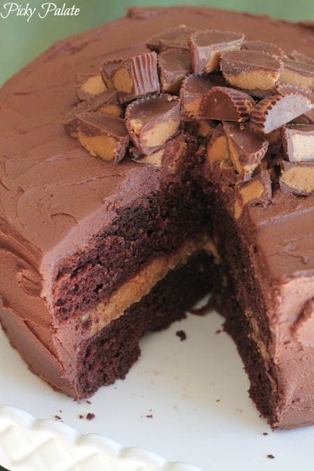 Chocolate Peanut Butter Cake