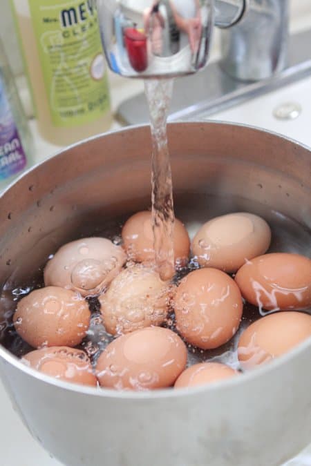 filling pan of eggs with water to boil