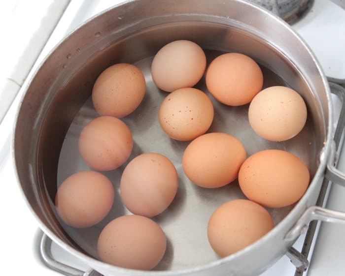 Eggs in a pot of water