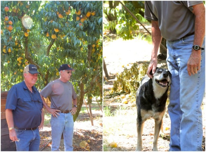 Peach Farmers