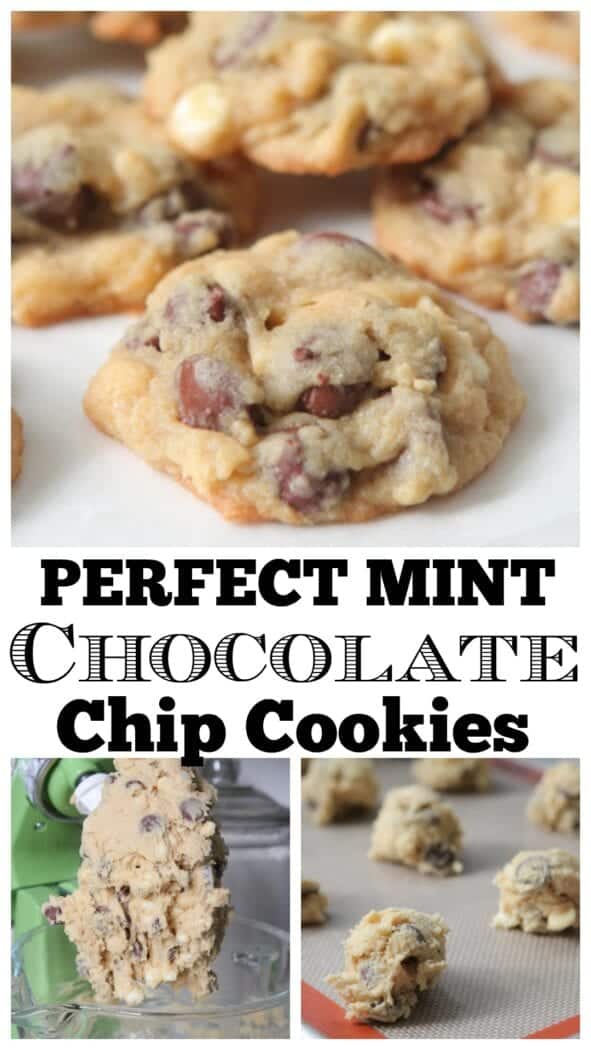 Mint Chocolate Chip Cookies - Picky Palate - BEST COOKIES!!