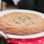Image of a Giant Chocolate Chip Cookie