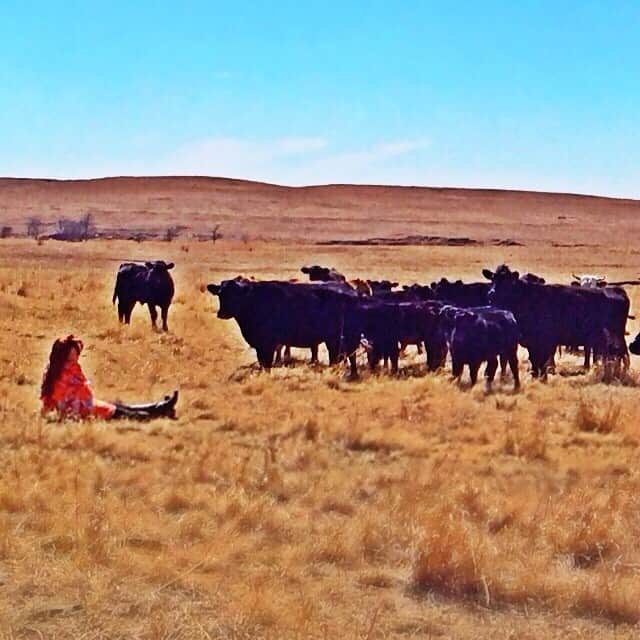 pioneer woman's ranch