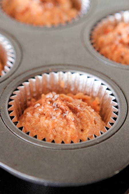 https://picky-palate.com/wp-content/uploads/2014/03/Cinnamon-Carrot-Cake-Muffins-15.jpg