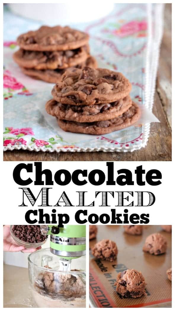 Chocolate Malted Cookies - Picky Palate - Chocolate Cookies Recipe!