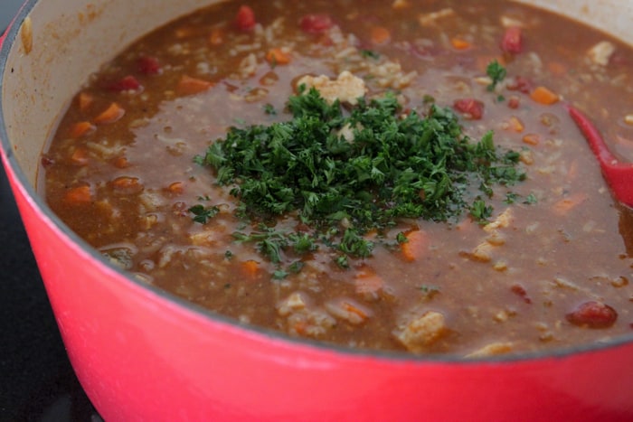 Mexican Chicken Soup