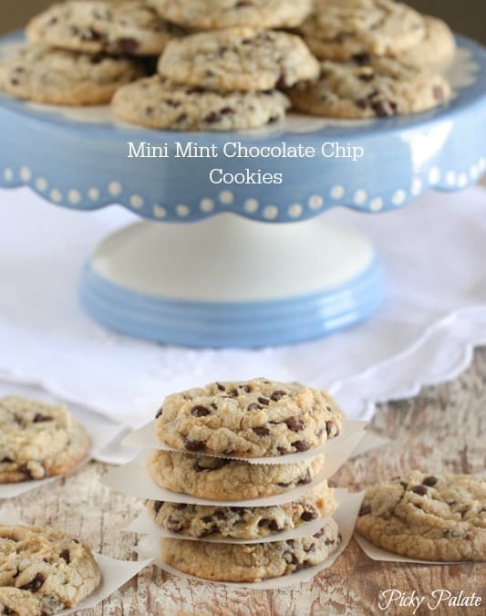 Mini galletas de chocolate de menta