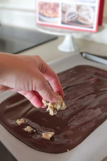 Chocolate Bark