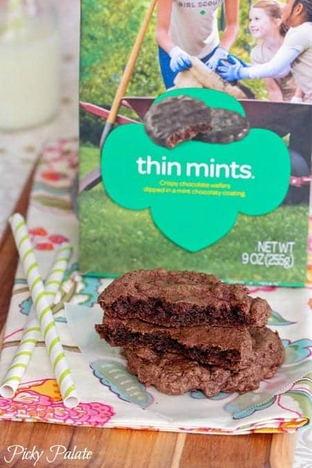 Six Favorite Girl Scout Cookie Recipes