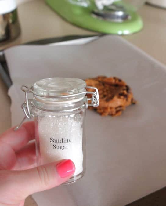 Peanut Butter Chocolate Chip Cookie For One