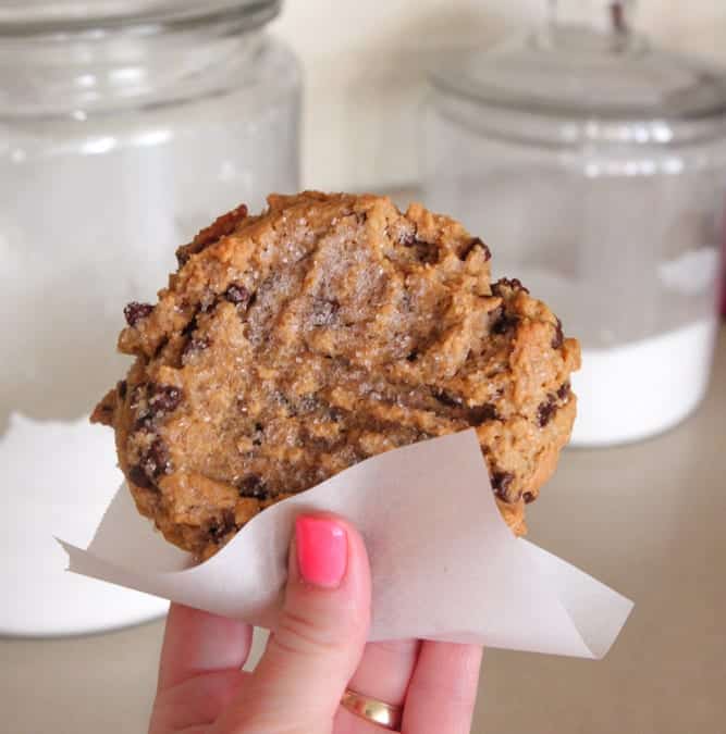 Peanut Butter Chocolate Chip Cookie For One