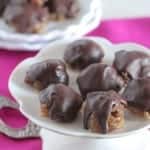 Chocolate Covered Pecan Bites