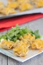 Chicken Enchilada Baked Nacho Bites