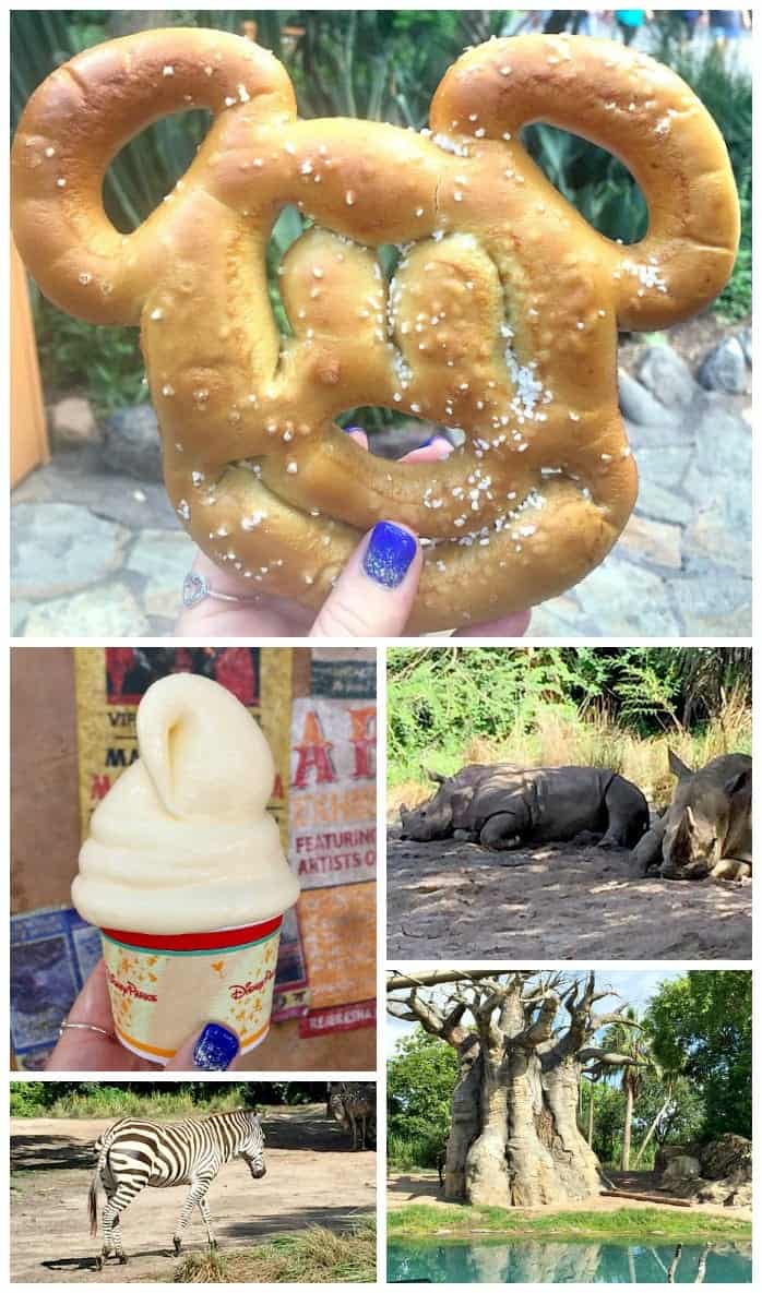 Walt Disney World Food Blogger Trip