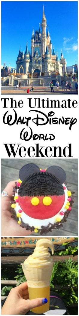 Walt Disney World Food Blogger Trip