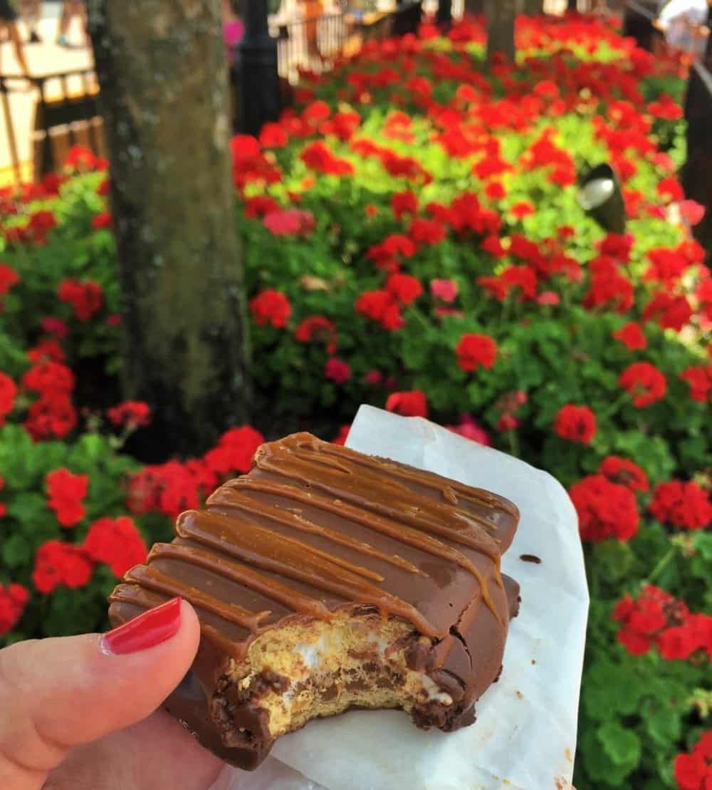 Jenny Holding a Caramel S'mores Bar in Front of Red Flowers