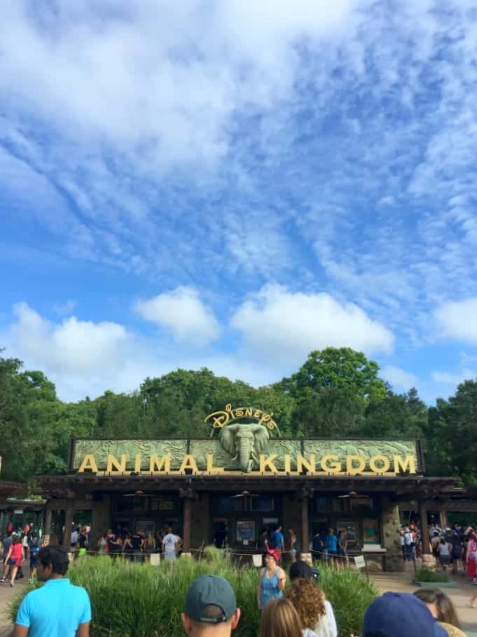 Walt Disney World Food Blogger Trip