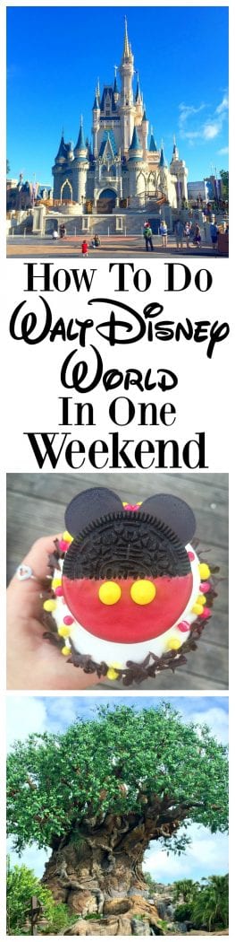 How To Do Walt Disney World in One Weekend