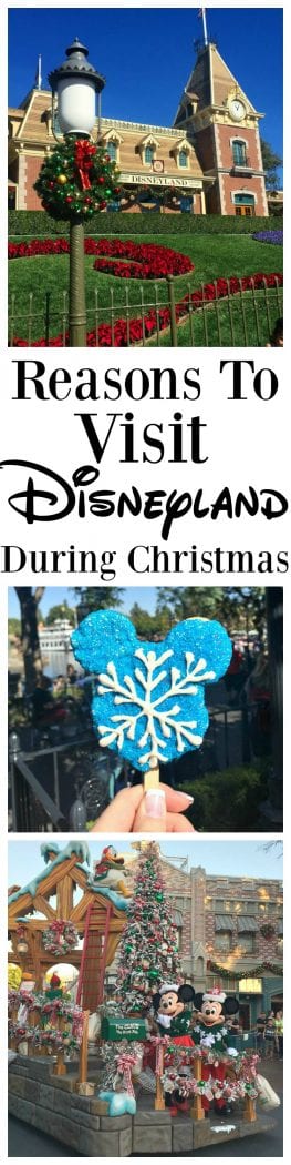 Reasons To Visit Disneyland Resort During Christmas