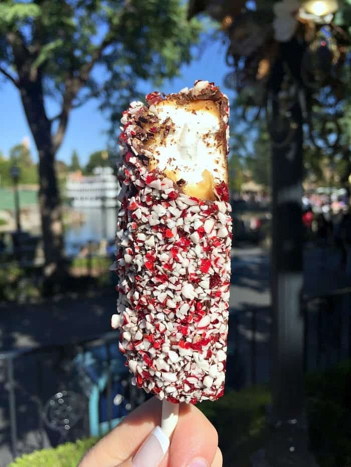 The Best Christmas Treats at Disneyland Park