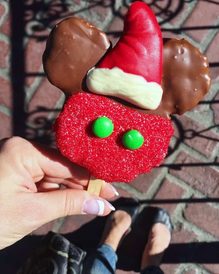 The Best Christmas Treats at Disneyland Park! Picky Palate