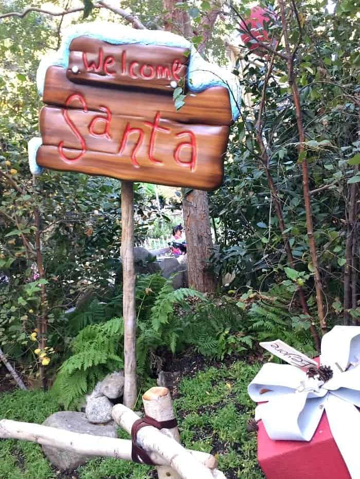 Reasons To Visit Disneyland Resort during Christmas